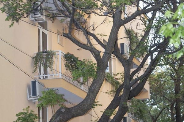 Hotel Vila Tako (Tirana)
